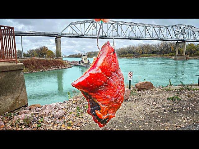 2 Days Fishing A River With 100 POUND FISH!!! (Unstoppable Monster)