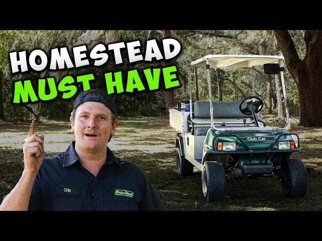 BEST cheap Golf Cart for the Money!