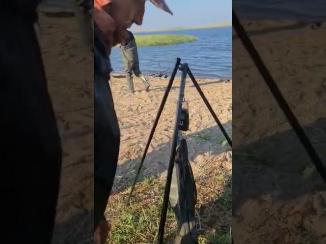 Carpfishing 2022