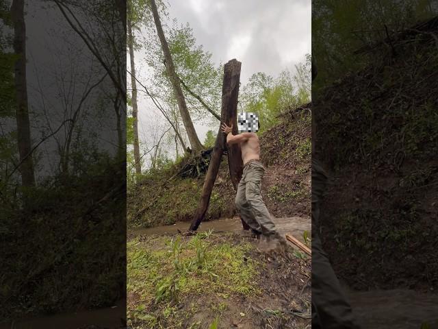 Moving some logs with Dylan the Dummy 🪵🪓