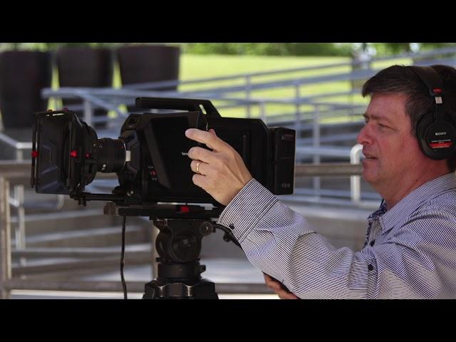 CMM DIY "Camera Types"