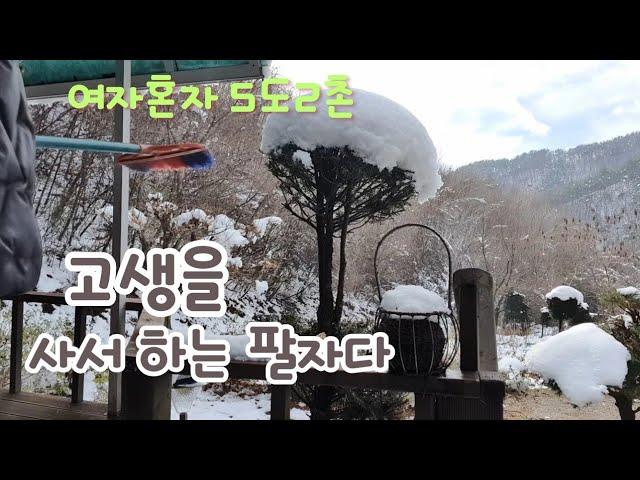 50대1인가구/사서 고생한다/  산골집겨울/얼룩아 어딨니