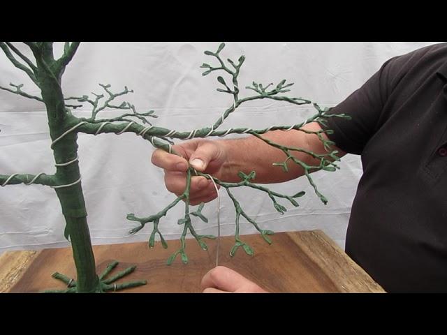 Bonsai 101 | Wiring secondary branches