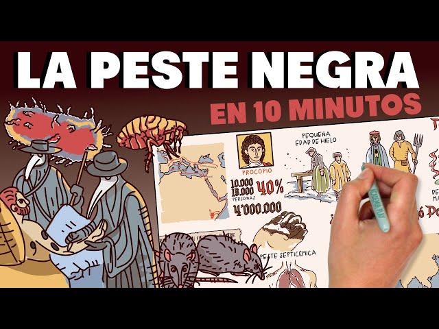 La Peste Negra en 10 minutos