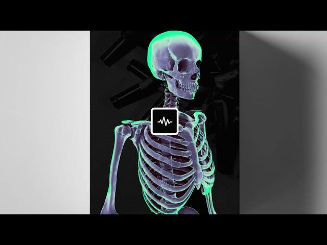 Nick Mira Phantom Loop Kit [️FREE DOWNLOAD️]