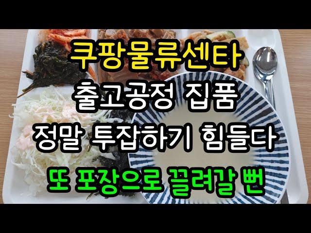 브이로그#30 / 쿠팡알바 출고공정 집품 / 대인기피증 독거녀의 투잡 / 확정문자 받기 힘들다 / 고양이와 힐링