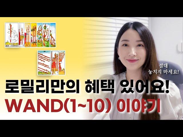 마이너 카드 WAND(완드) 1-10 ｜로밀리 혜택이 있어요! 더보기란 참고｜타로강사, 타로공부