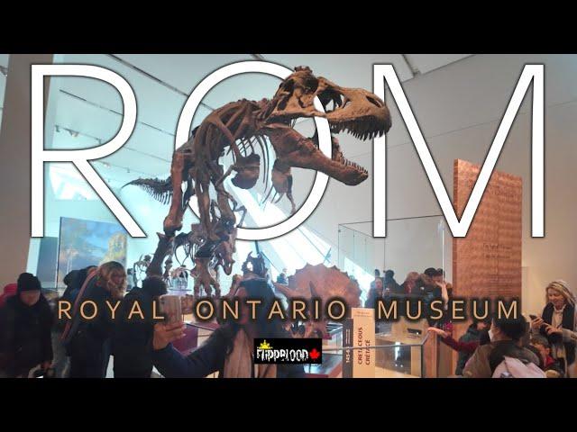 Largest Museum in Canada  //  Royal Ontario Museum (ROM) Virtual Tour  //  2024