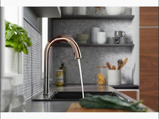 Sensate Touchless Kitchen Faucet