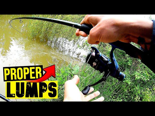 I WENT METHOD FEEDER FISHING FOR CARP