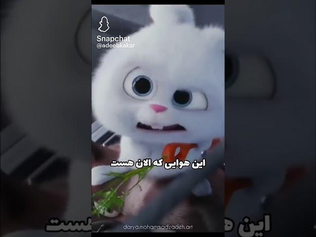 ۷ سپتامبر ۲۰۲۴