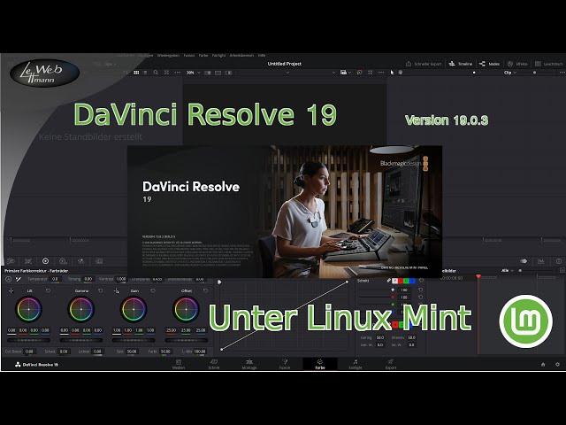 DaVinci-Resolve 19 0 3 unter Linux Mint