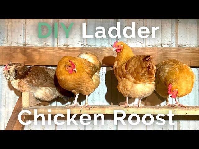 Build a chicken roost in under 30 minutes | Round or Flat Roosting Bars, Which is Better?