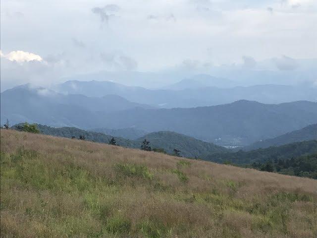 Carvers Gap | Roan Mountain | Appalachian Trail | NC/TN Line