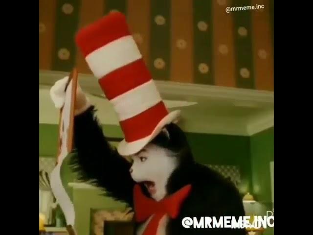 Cat in the Hat Looks at Mom Meme