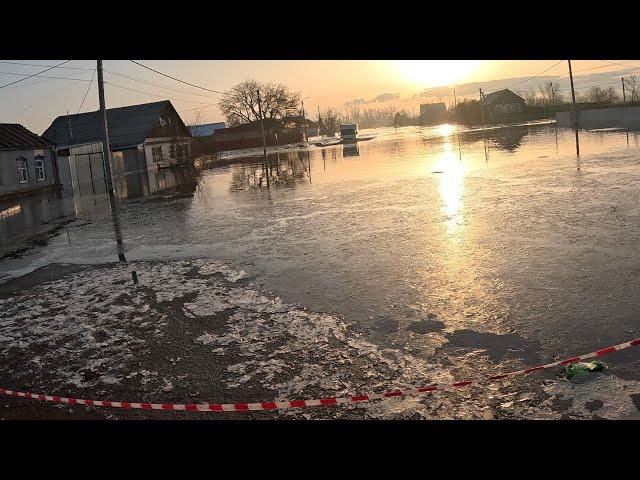 Я в шоке от этого персонажа, ведь мог погибнуть