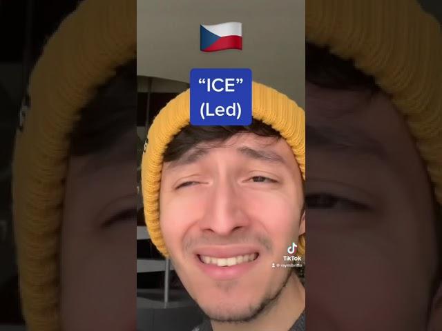 Slavic Languages meets  #tiktok #comedy #slavic