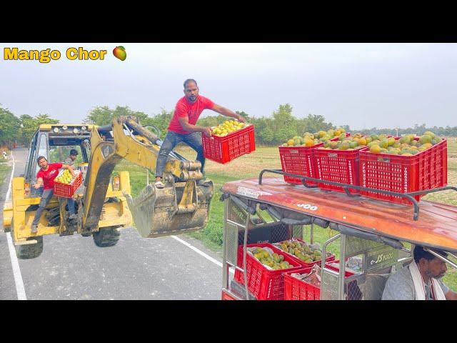 Mango Chor Part_3 Top New Funny Comedy Video || By Bindas Fun Nonstop
