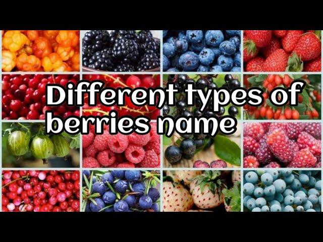 Different Types of berries with pictures & names | 7 Different types of berries name / Fruits name