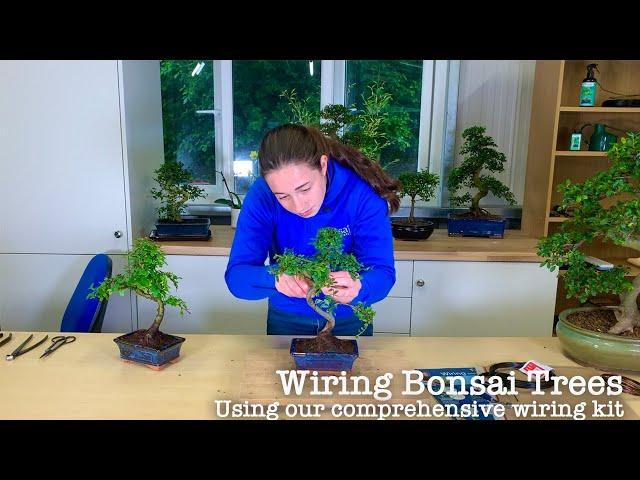  Introduction to Bonsai Tree Wiring Kit 