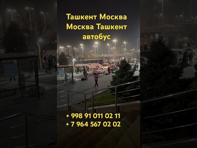 Ташкент Москва автобус#москва #ташкент #автобус