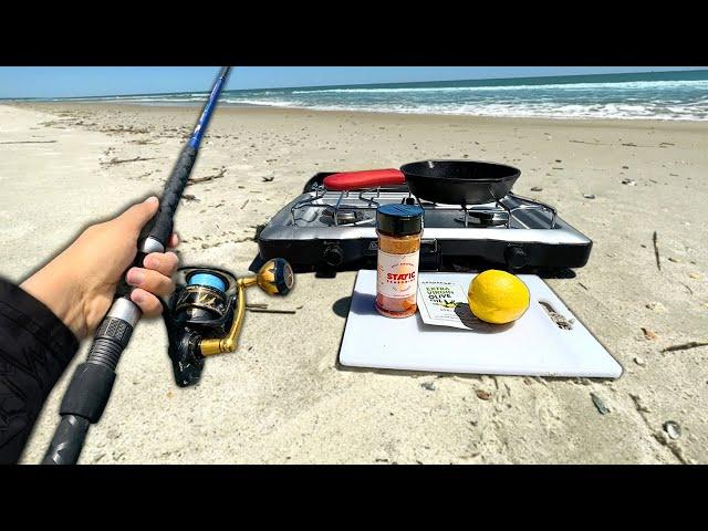 SOLO Beach Fishing.. Eating Whatever I Catch (Catch and Cook)