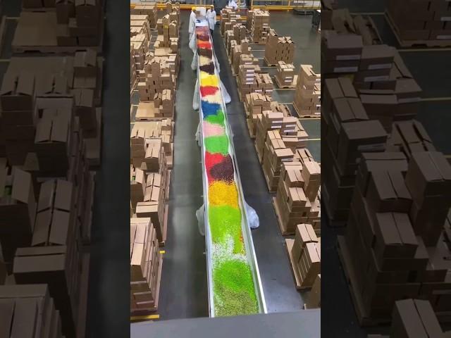 Jelly bean factory tour 2023#short