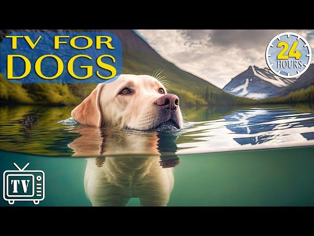 24 Hours Anti Anxiety Music for Dog: TV for Dogs & Fast-Boredom Busting Videos for Dogs with Music