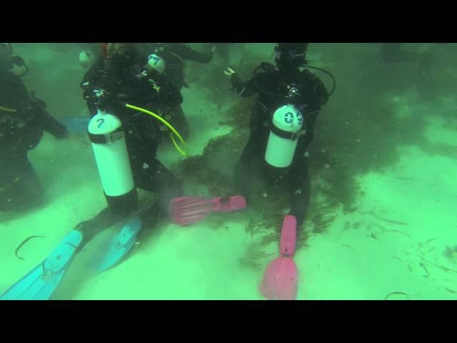 PADI Open Water Day 3 Dive 1 GoPro Rottnest Island