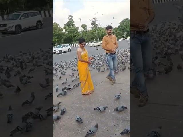 Kabootar - Renuka Panwar, Pranjal Dahiya, Vivek, Surender Romio, Aman Jaji, Rakesh Sahil