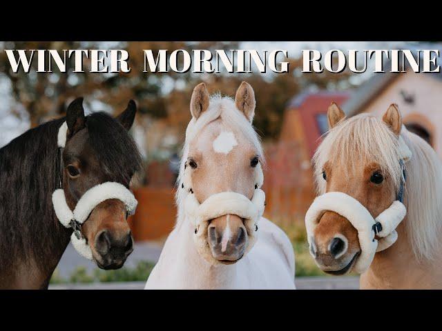 WINTER MORNING ROUTINE WITH 3 PONIES!