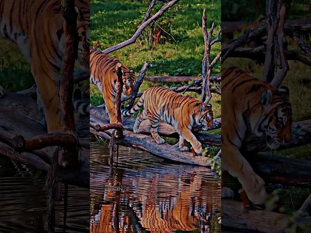 The beauty of Earth 