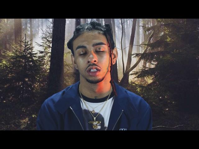 Robb Bank$ - Ask  L8tr (Intro)