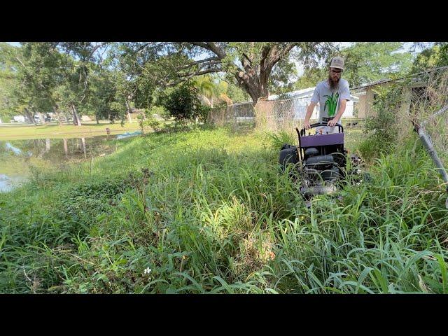 Crazy NEGLECTED WATERFRONT property makeover that I did for FREE!!! [Neighbor HELPED ME!]