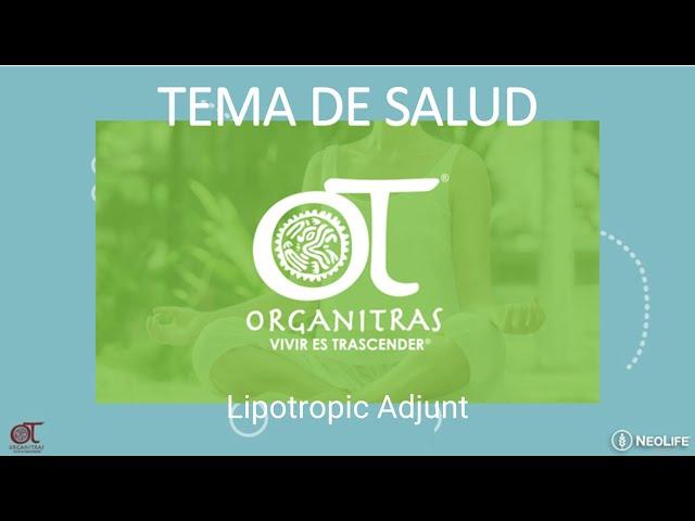 Lipotropic Adjunt | Organitras | NeoLife