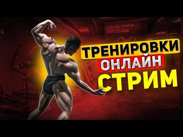 НОГИ 100 | ВСЕ О ПОДГОТОВКЕ !ТЕЛЕГА | ROAD TO OLYMPIA 2025