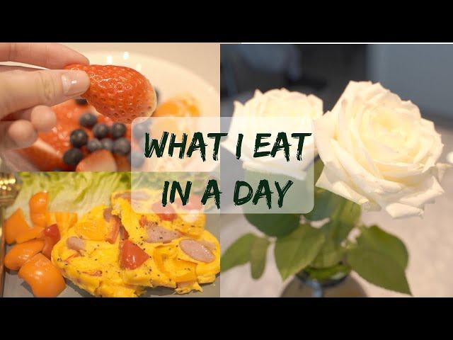 【一天吃什么】10分钟快手料理增加抵抗力 What I Eat In A Day