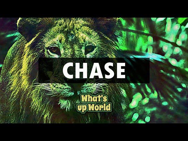 CHASE | MEEK MILL | HARD MODERN RAP BEAT | MOTIVATION TRAINING BEAT | WhatsupWorld