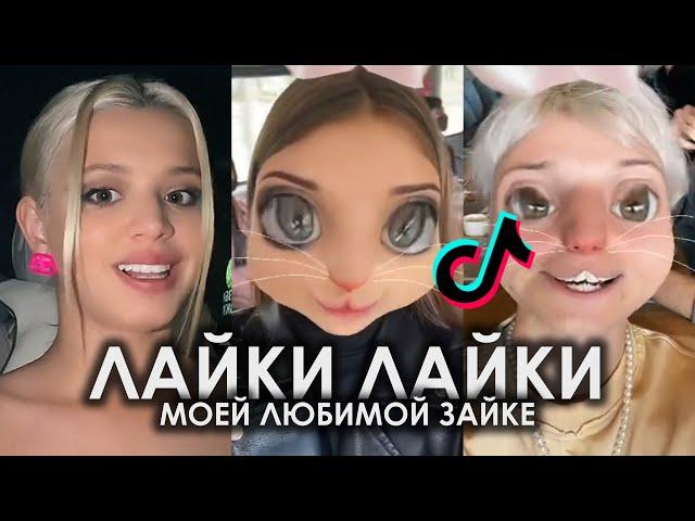 ЛАЙКИ ЛАЙКИ МОЕЙ ЛЮБИМОЙ ЗАЙКЕ TIK TOK ПОДБОРКА ЧАСТЬ 2 | ЛАЙКИ ЛЮБИМОЙ ЗАЙКЕ ПОДБОРКА ТИКТОК