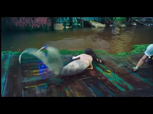 นางเงือกมีอยู่จริงแต่มีในประเทศอังกฤษเท่านั่น