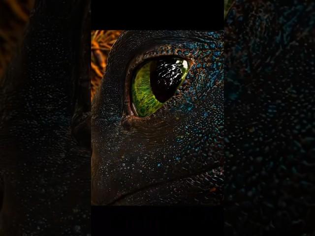 The epic live action | How to Train Your Dragon #howtotrainyourdragon #movie #liveaction #dragon