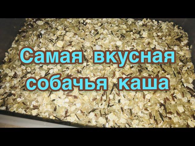 Самая лучшая каша собакам