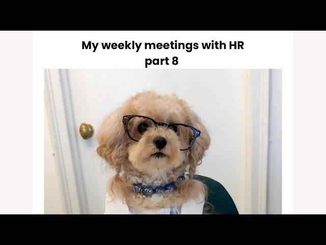 My weekly meetings with HR part 8