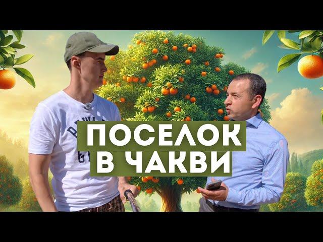 Сколько стоит недвижимость в пригороде Батуми. Grand Botanico 1, 2 в Чакви