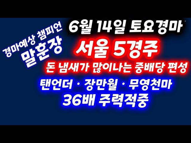 경마 6월 14일(토) 서울 5경주 돈냄새가 많이나네요