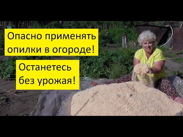 Мульча из опилок. Вред или польза?