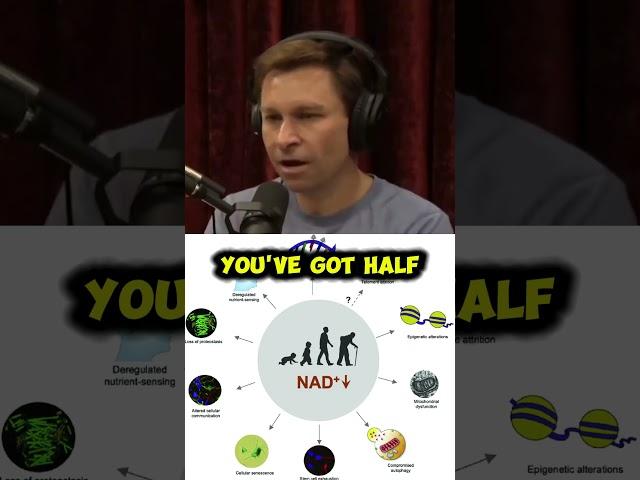 NAD Supplements: Boosting NAD and ATP for Anti Aging and Increase Lifespan