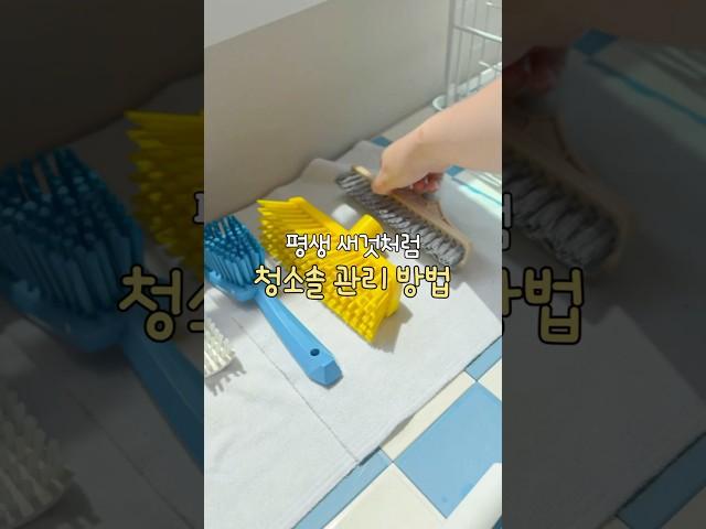 평생 새것처럼 청소도구 관리하는 방법은 #청소솔 링크 공유⭐️
