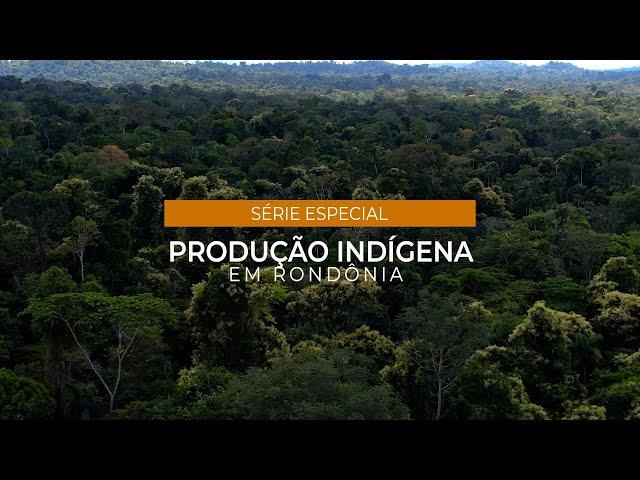 Com apoio da Funai, indígenas geram emprego e renda com a produção de castanha do Brasil