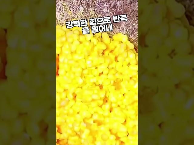 비누